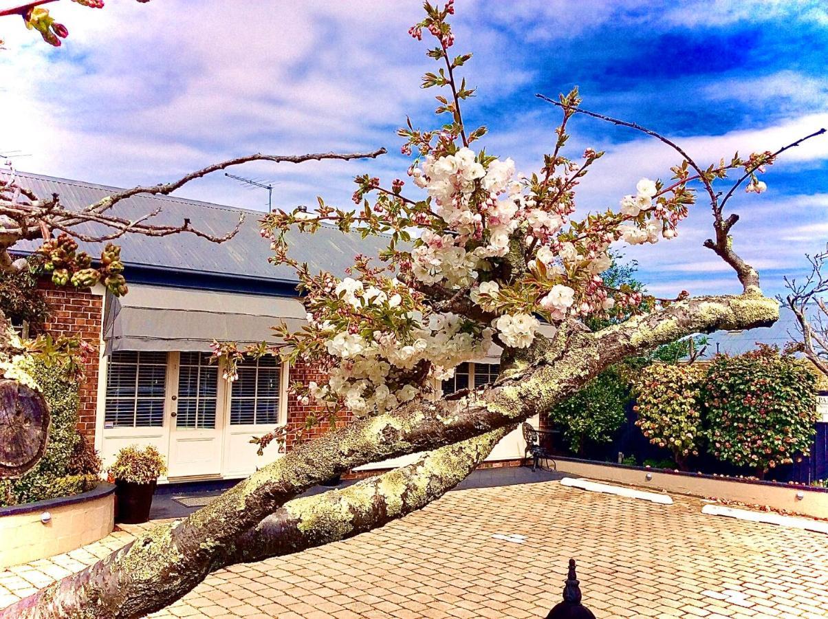 Kurrajong House Panzió Launceston Kültér fotó